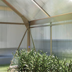 Greenhouse structure with transparent roof and walls, featuring a plant in the foreground.