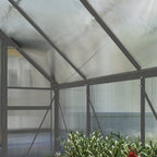 Greenhouse with transparent roof and walls, plants visible inside.