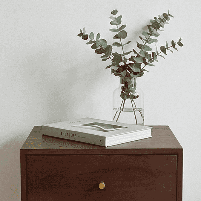 Scandinavian Walnut Oslo Bedside Table - Zalynco